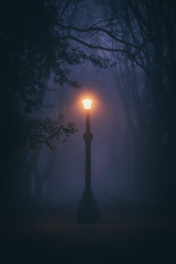 A spooky lamp post glowing in a misty forest at night, creating a mysterious atmosphere.